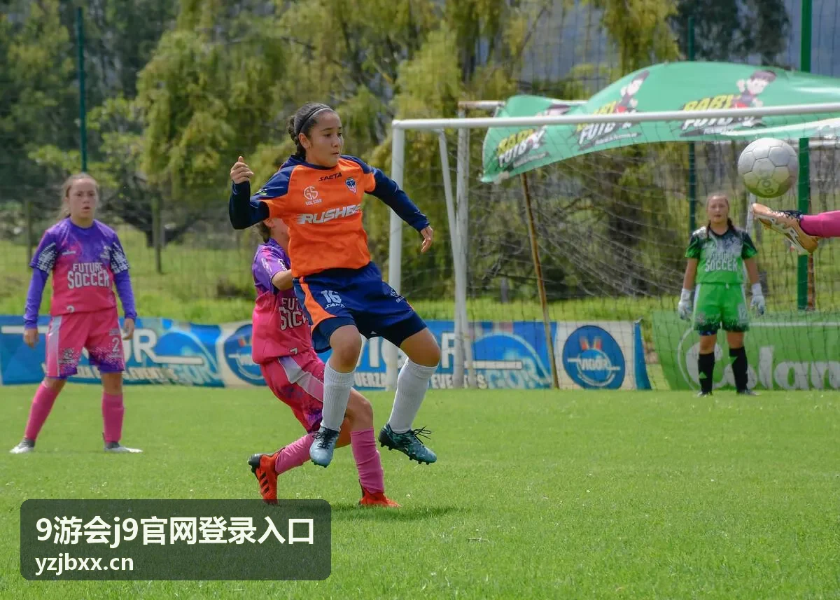 9游会j9官网登录入口功能频道进入流程示意