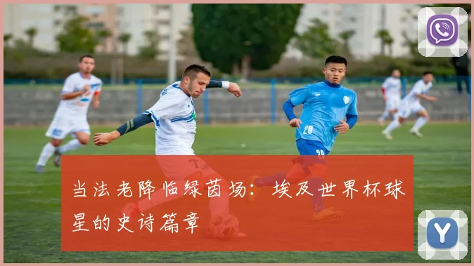 当法老降临绿茵场：埃及世界杯球星的史诗篇章