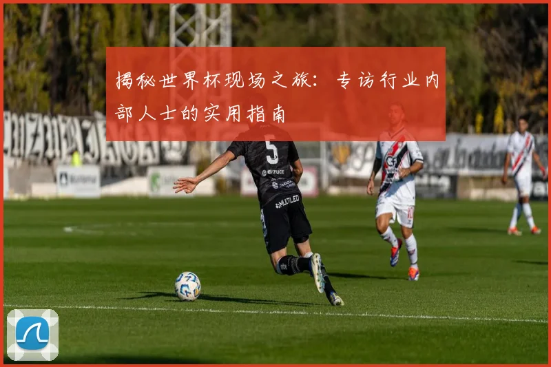 揭秘世界杯现场之旅：专访行业内部人士的实用指南