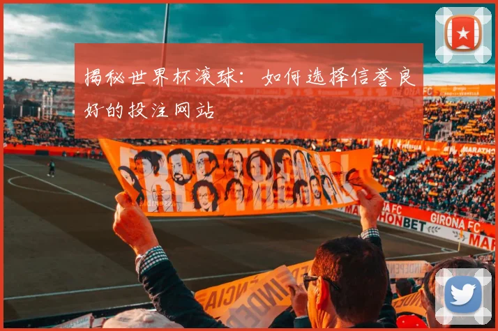 揭秘世界杯滚球：如何选择信誉良好的投注网站