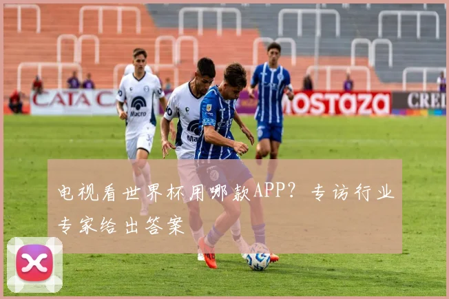 电视看世界杯用哪款APP?专访行业专家给出答案